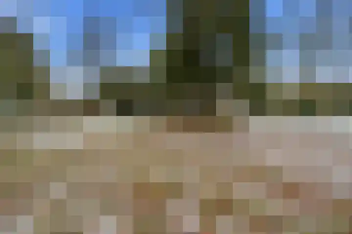 Limietweg 47 Barger-Compascuum thumbnail 42