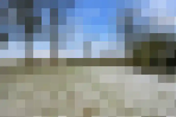 Limietweg 47 Barger-Compascuum thumbnail 43