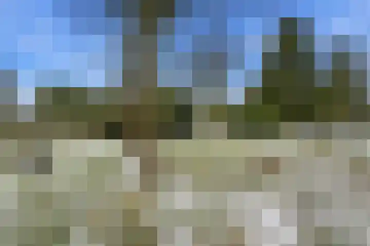 Limietweg 47 Barger-Compascuum thumbnail 44