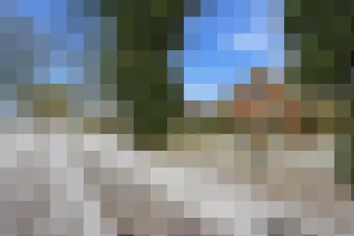 Limietweg 47 Barger-Compascuum thumbnail 5