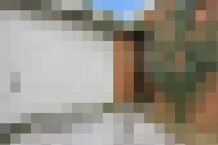 Limietweg 47 Barger-Compascuum thumbnail 7