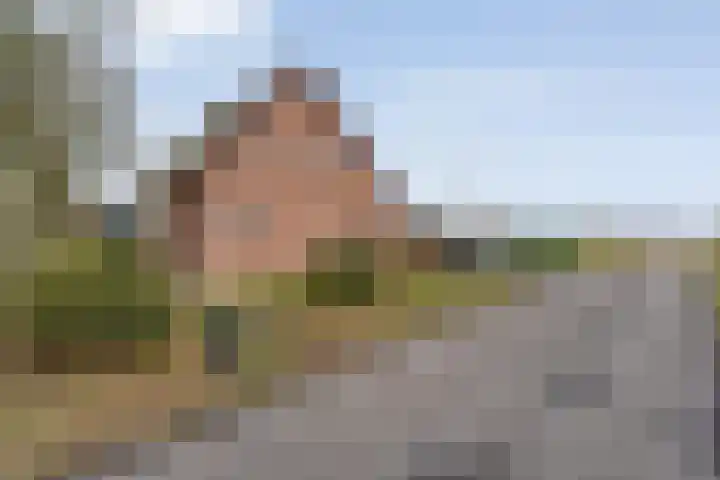 Limietweg 66 Barger-Compascuum thumbnail 32