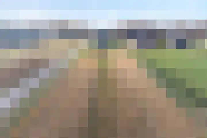 Limietweg 66 Barger-Compascuum thumbnail 35