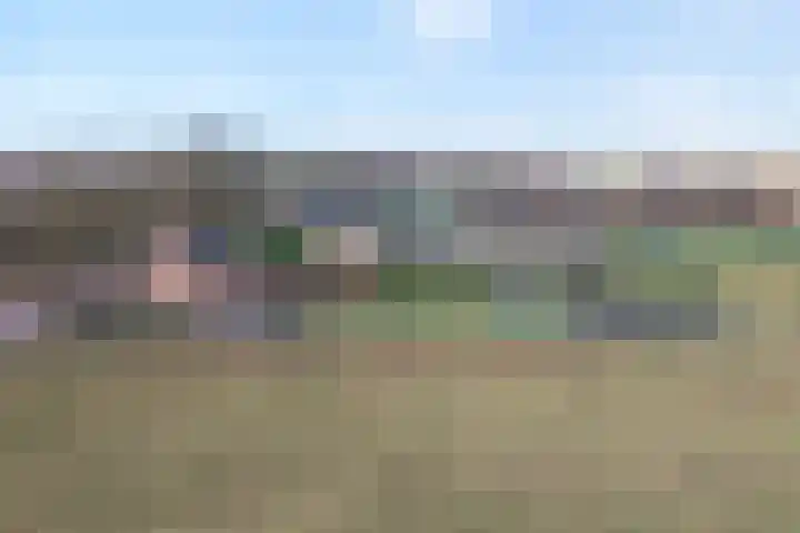 Limietweg 66 Barger-Compascuum thumbnail 36