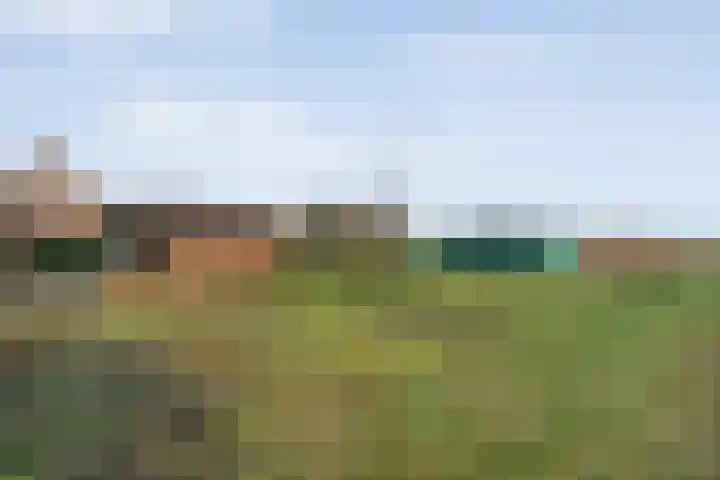 Limietweg 66 Barger-Compascuum thumbnail 37