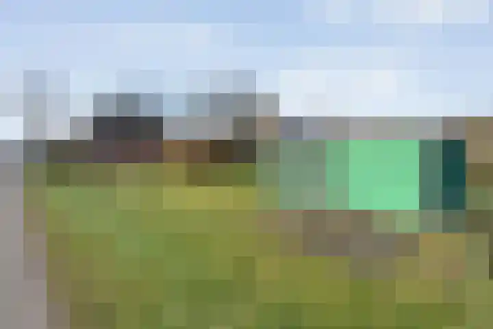 Limietweg 66 Barger-Compascuum thumbnail 38