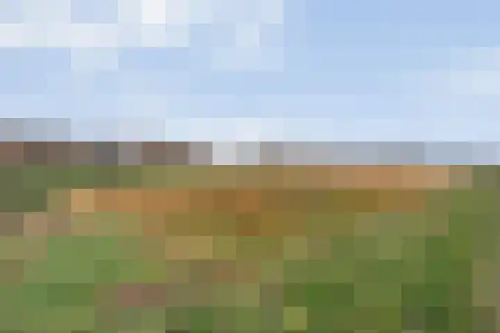 Limietweg 66 Barger-Compascuum thumbnail 39