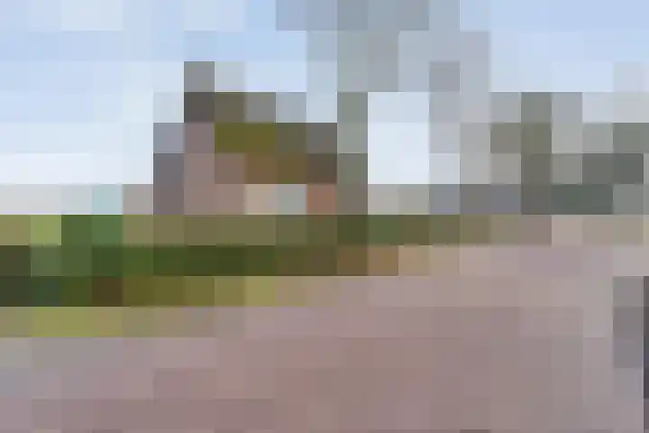 Limietweg 66 Barger-Compascuum thumbnail 4