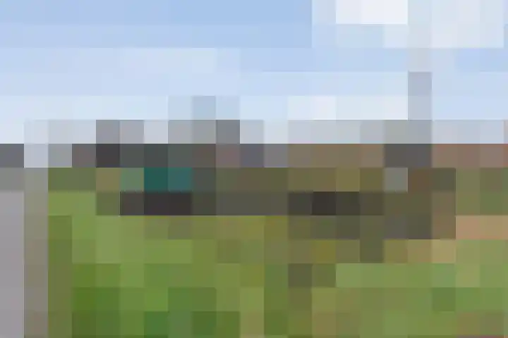 Limietweg 66 Barger-Compascuum thumbnail 40
