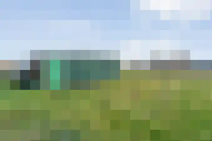 Limietweg 66 Barger-Compascuum thumbnail 41