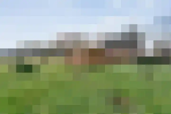Limietweg 66 Barger-Compascuum thumbnail 42