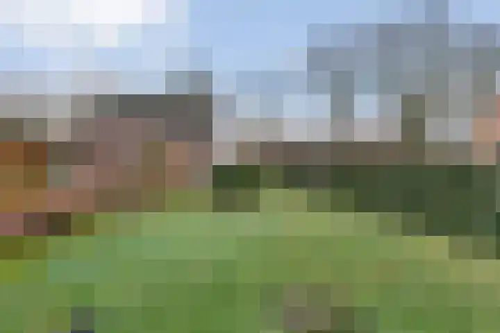 Limietweg 66 Barger-Compascuum thumbnail 43
