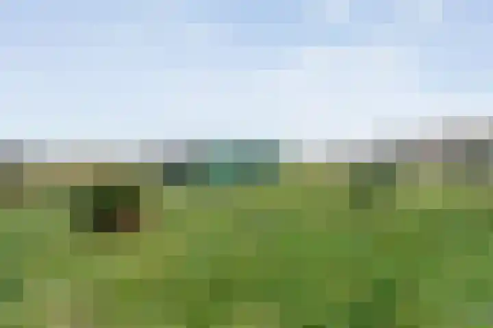 Limietweg 66 Barger-Compascuum thumbnail 44