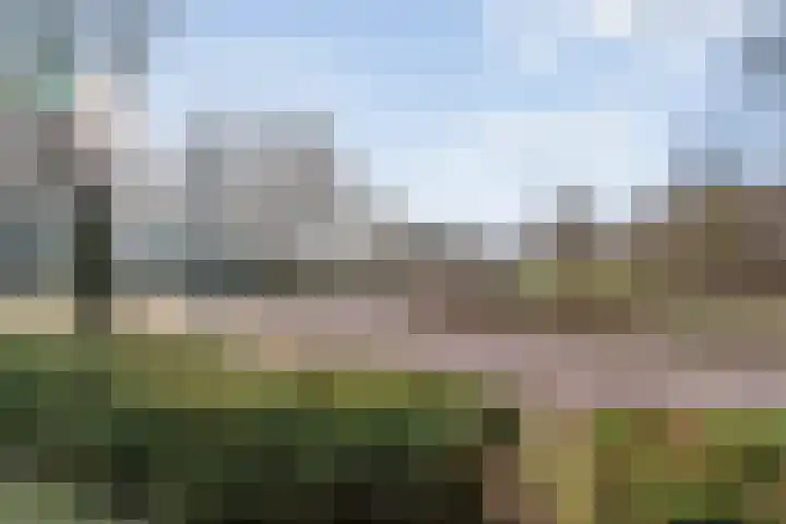 Limietweg 66 Barger-Compascuum thumbnail 46