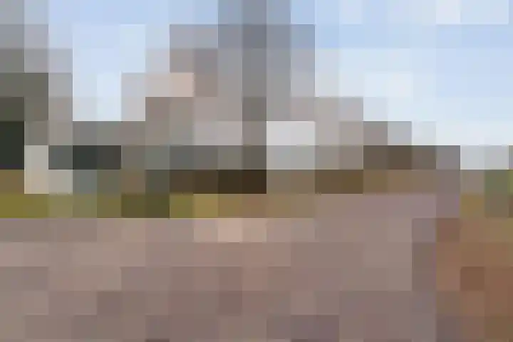 Limietweg 66 Barger-Compascuum thumbnail 47