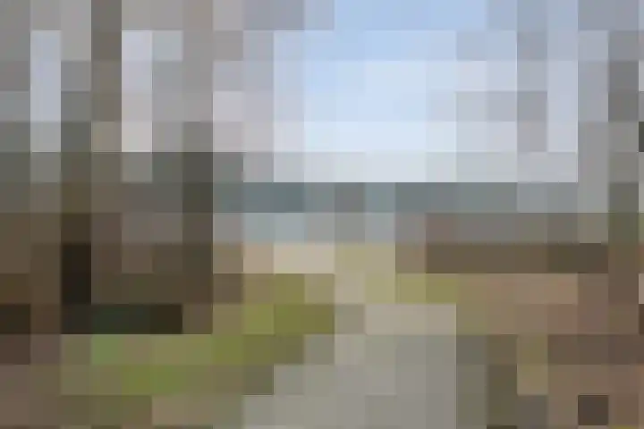 Limietweg 66 Barger-Compascuum thumbnail 50