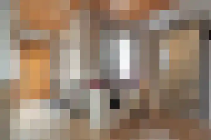 Limietweg 66 Barger-Compascuum thumbnail 7