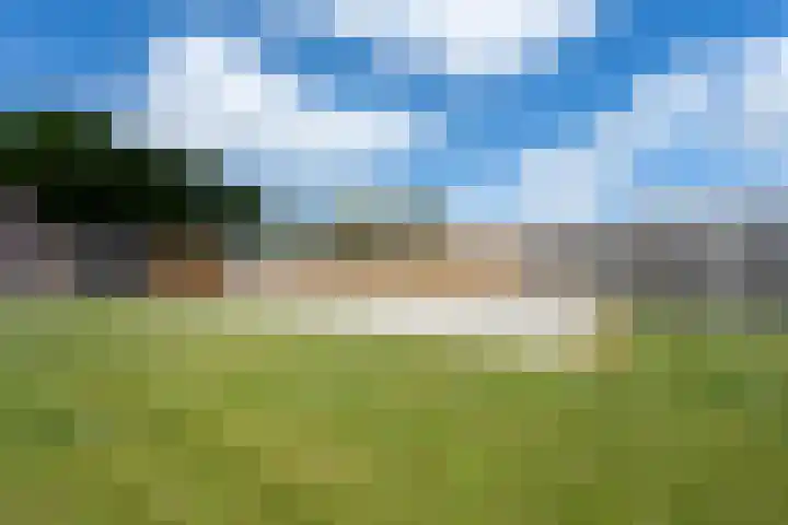 Limietweg 68 Barger-Compascuum thumbnail 46
