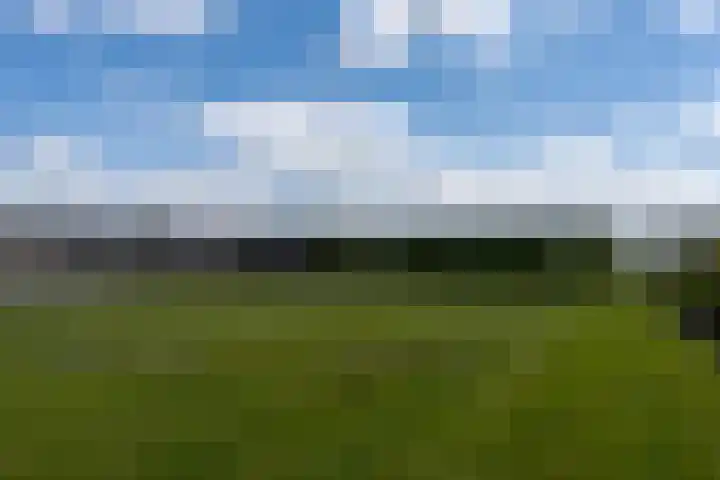 Limietweg 68 Barger-Compascuum thumbnail 47