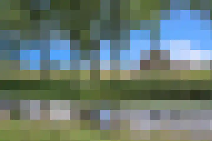Limietweg 68 Barger-Compascuum thumbnail 50