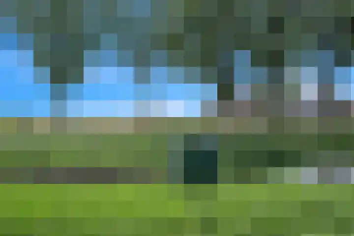 Limietweg 68 Barger-Compascuum thumbnail 51