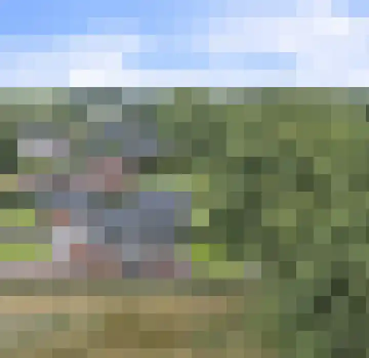 Limietweg 68 Barger-Compascuum thumbnail 53