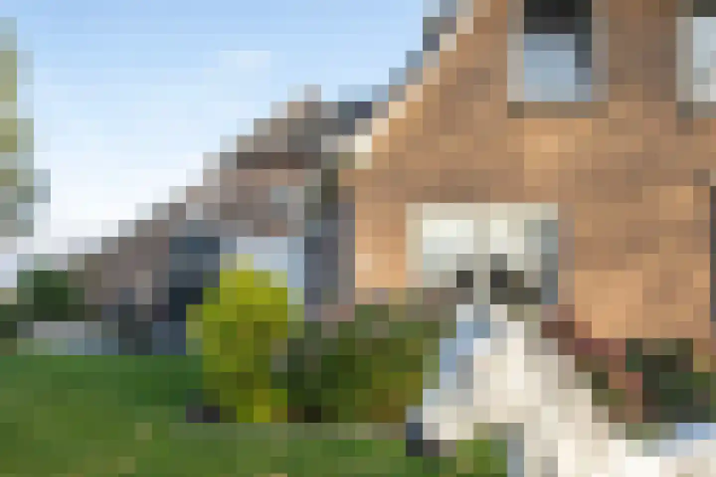 Limietweg 97 Barger-Compascuum thumbnail 46