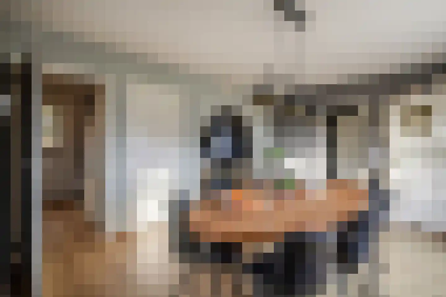 Limietweg 97 Barger-Compascuum thumbnail 9