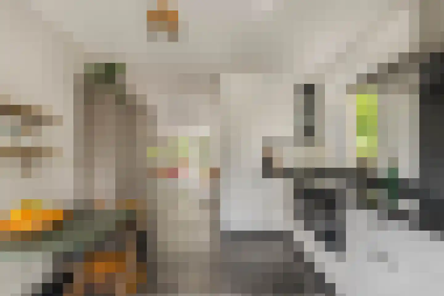 Limmer Laen 4 Heiloo thumbnail 13