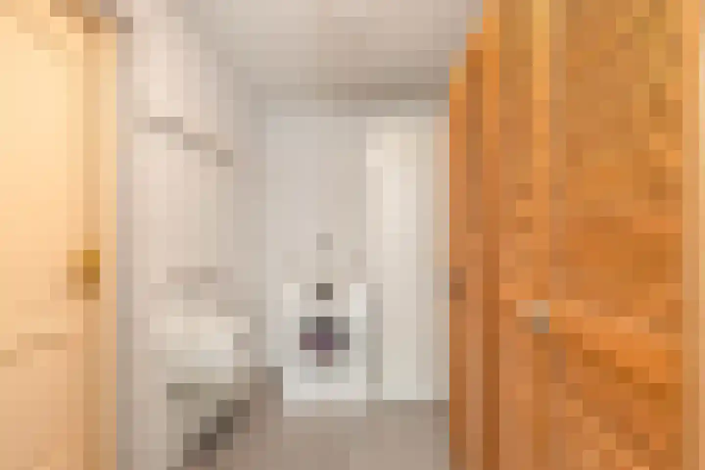 Limmer Laen 4 Heiloo thumbnail 19