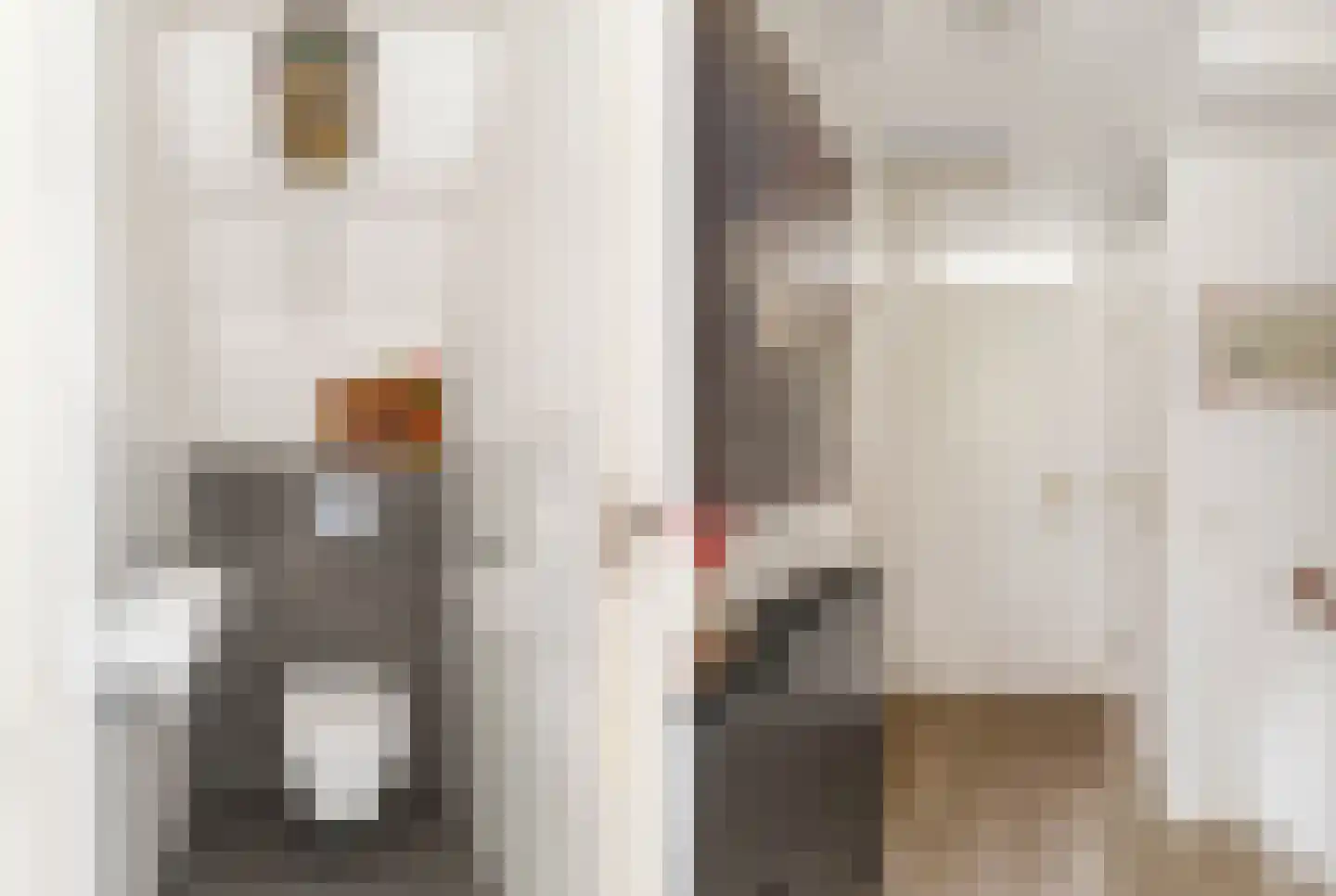 Limmer Laen 4 Heiloo thumbnail 21