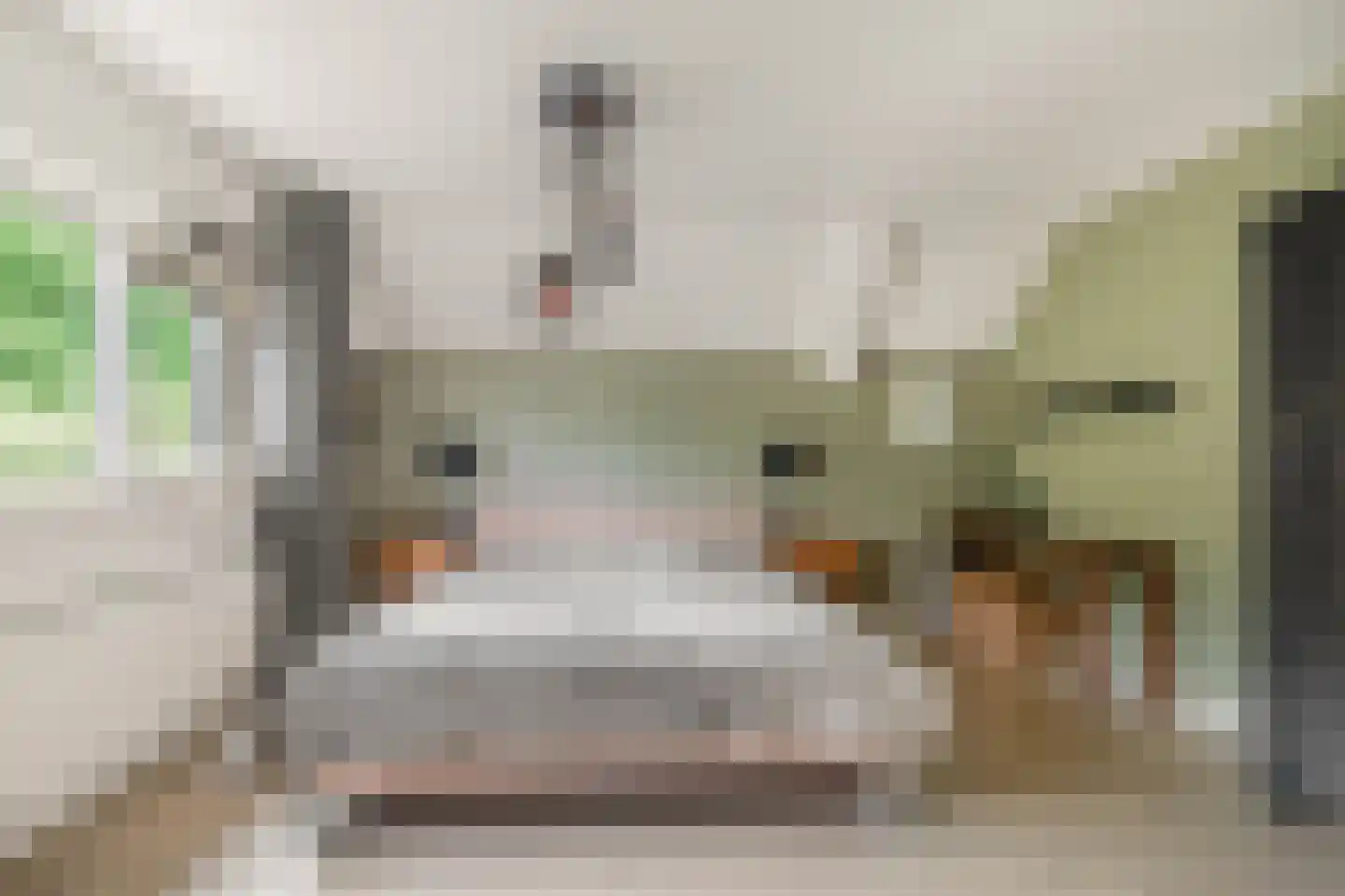 Limmer Laen 4 Heiloo thumbnail 22