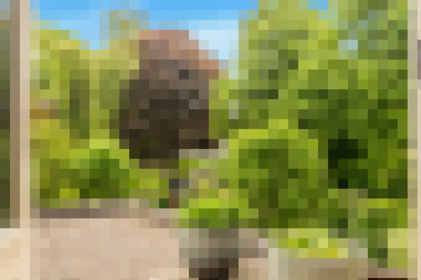 Limmer Laen 4 Heiloo thumbnail 25