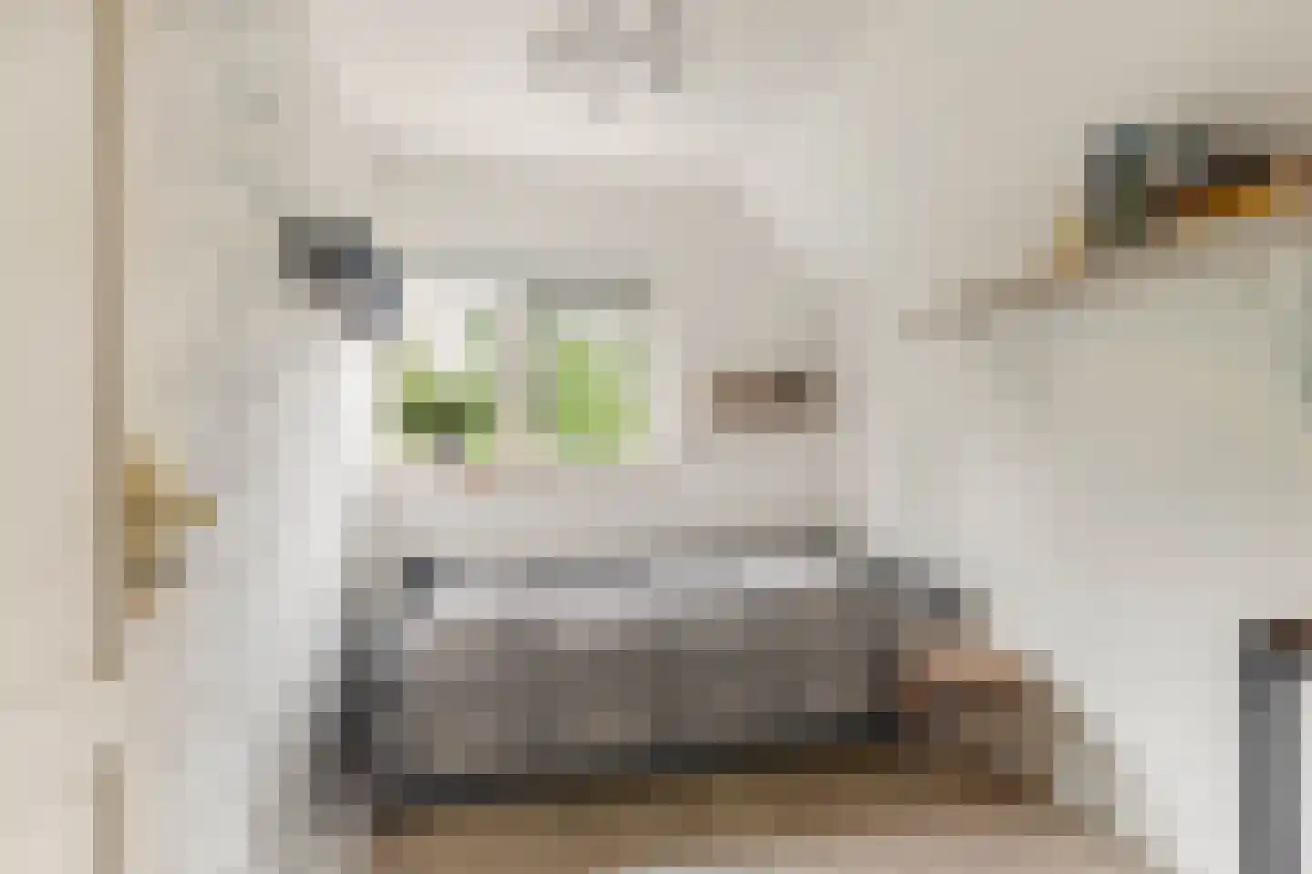 Limmer Laen 4 Heiloo thumbnail 27