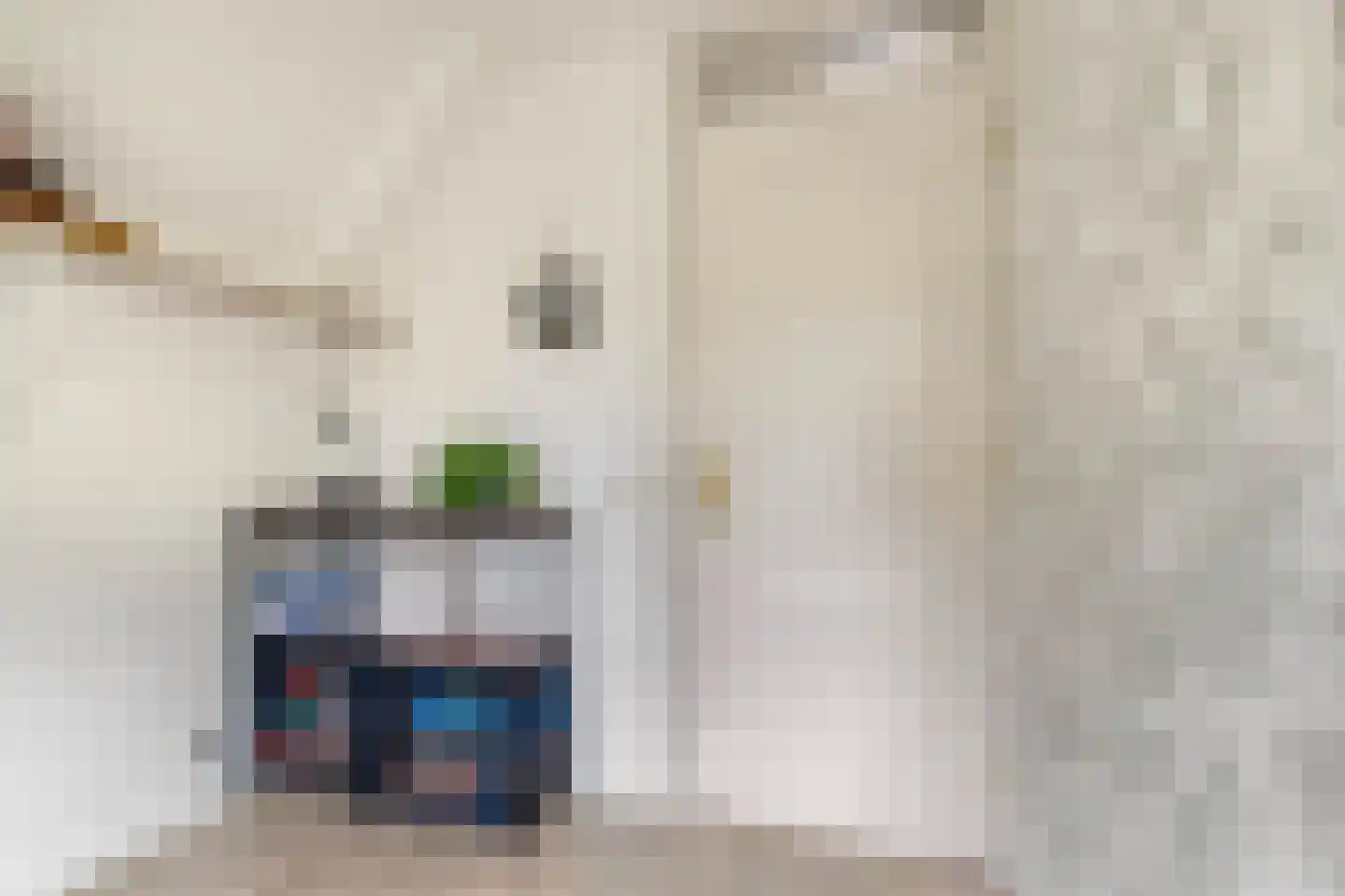 Limmer Laen 4 Heiloo thumbnail 28