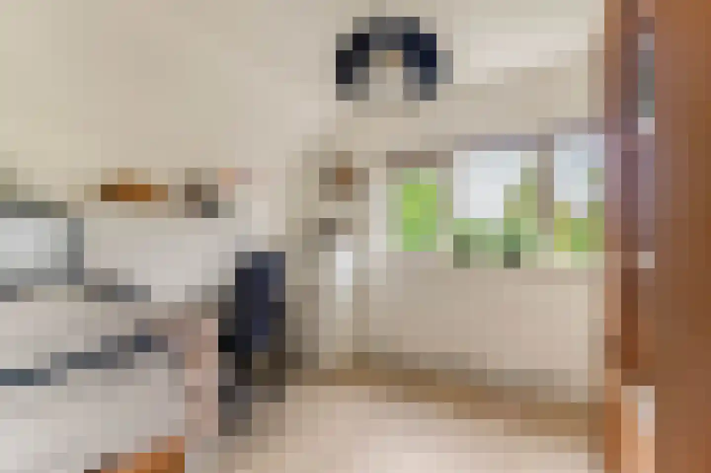 Limmer Laen 4 Heiloo thumbnail 29