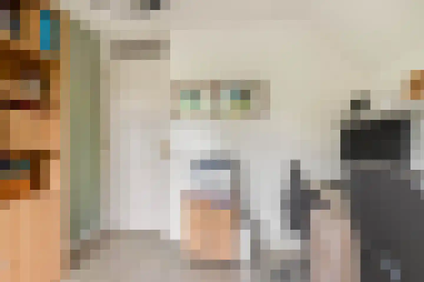Limmer Laen 4 Heiloo thumbnail 30