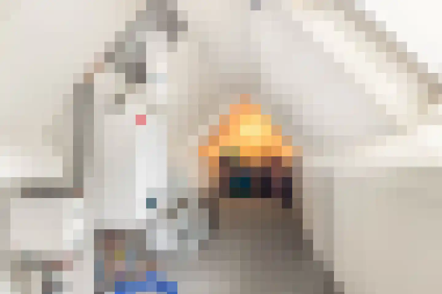Limmer Laen 4 Heiloo thumbnail 35