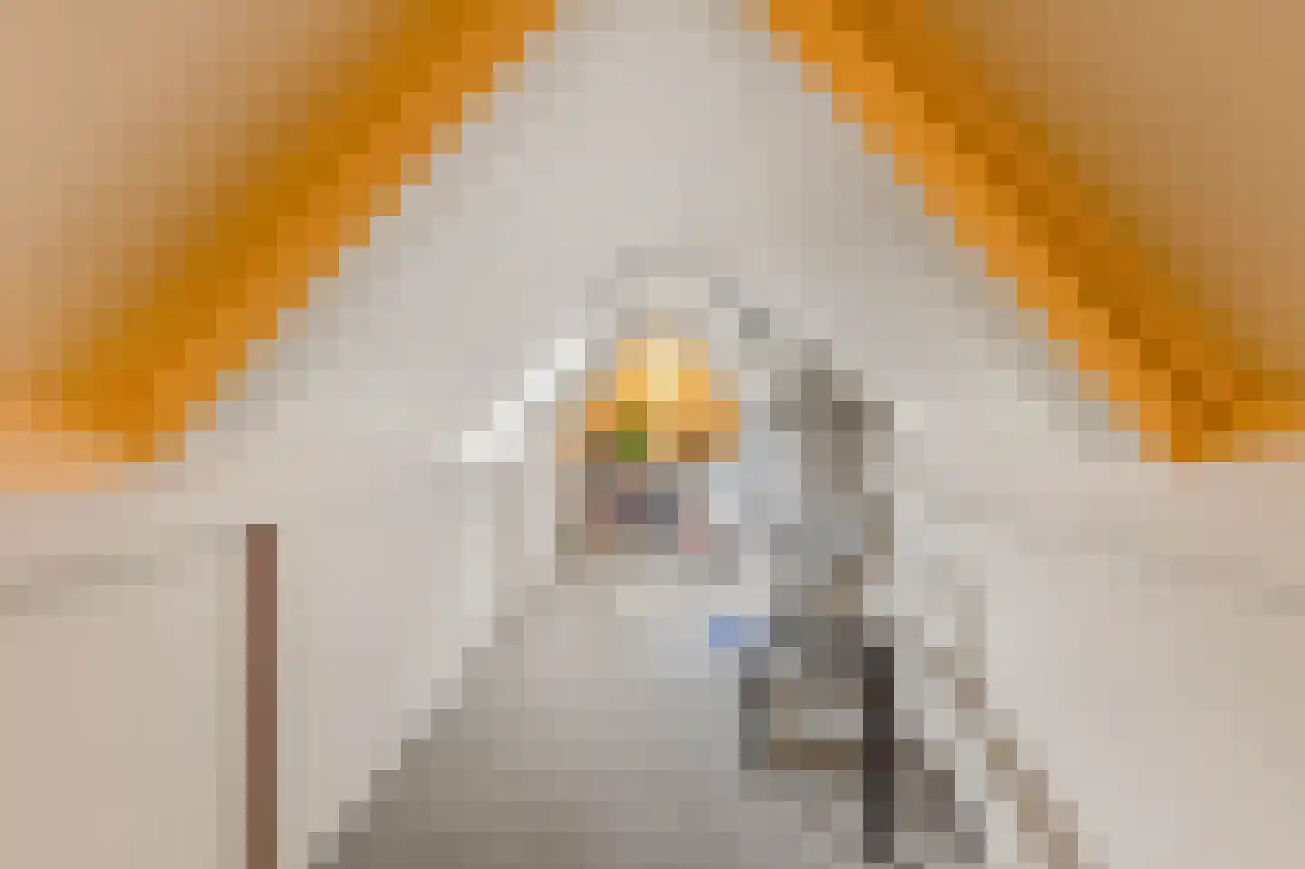 Limmer Laen 4 Heiloo thumbnail 36
