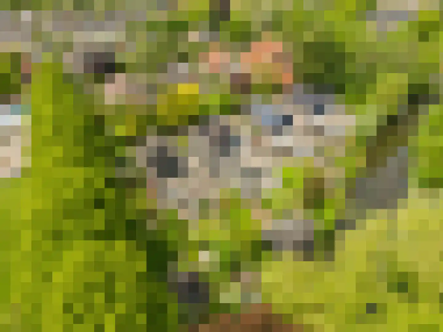 Limmer Laen 4 Heiloo thumbnail 40