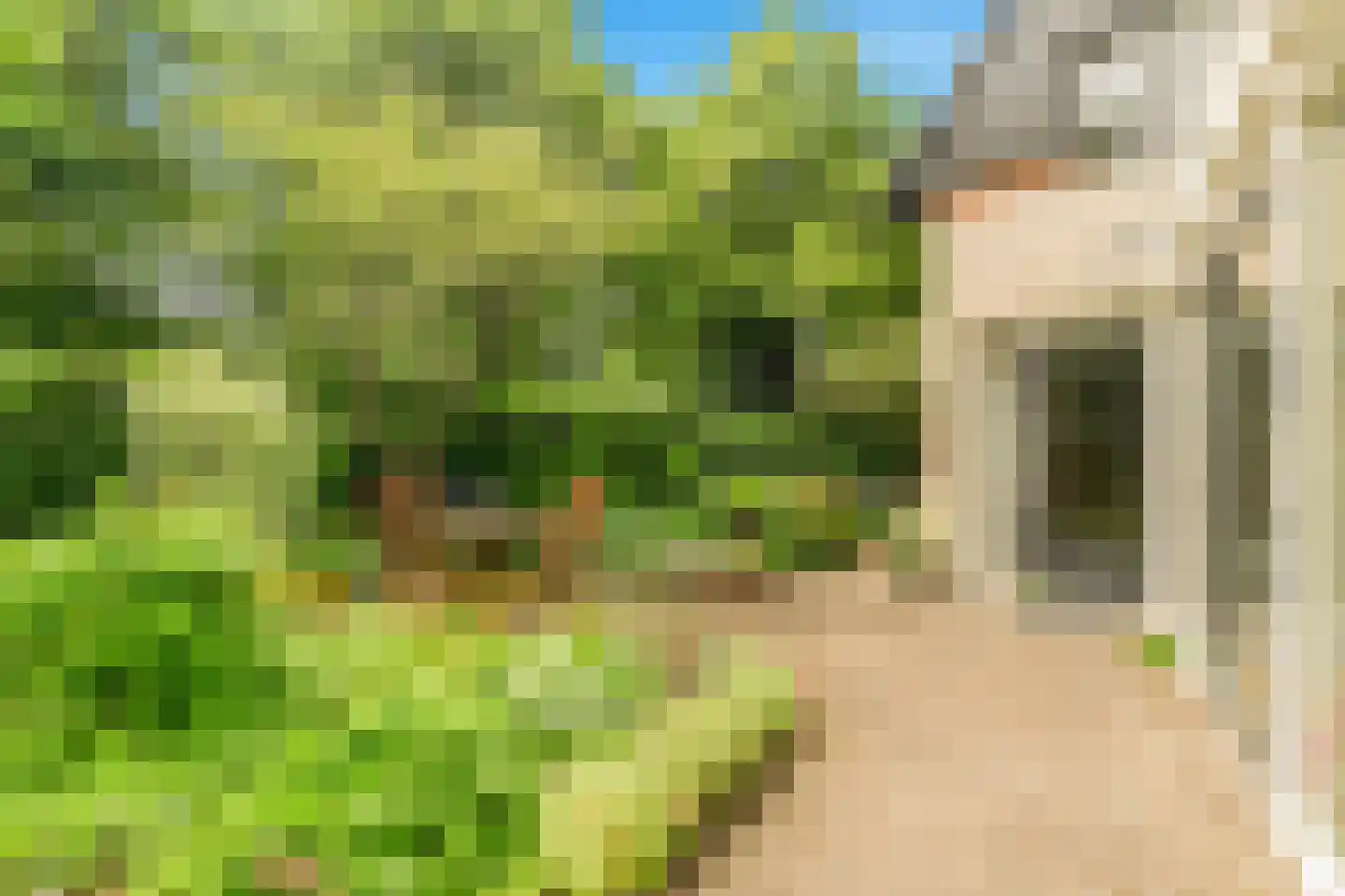 Limmer Laen 4 Heiloo thumbnail 43