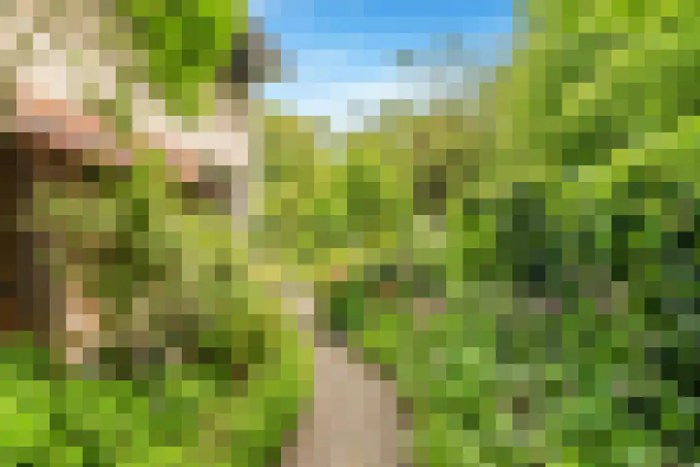 Limmer Laen 4 Heiloo thumbnail 44
