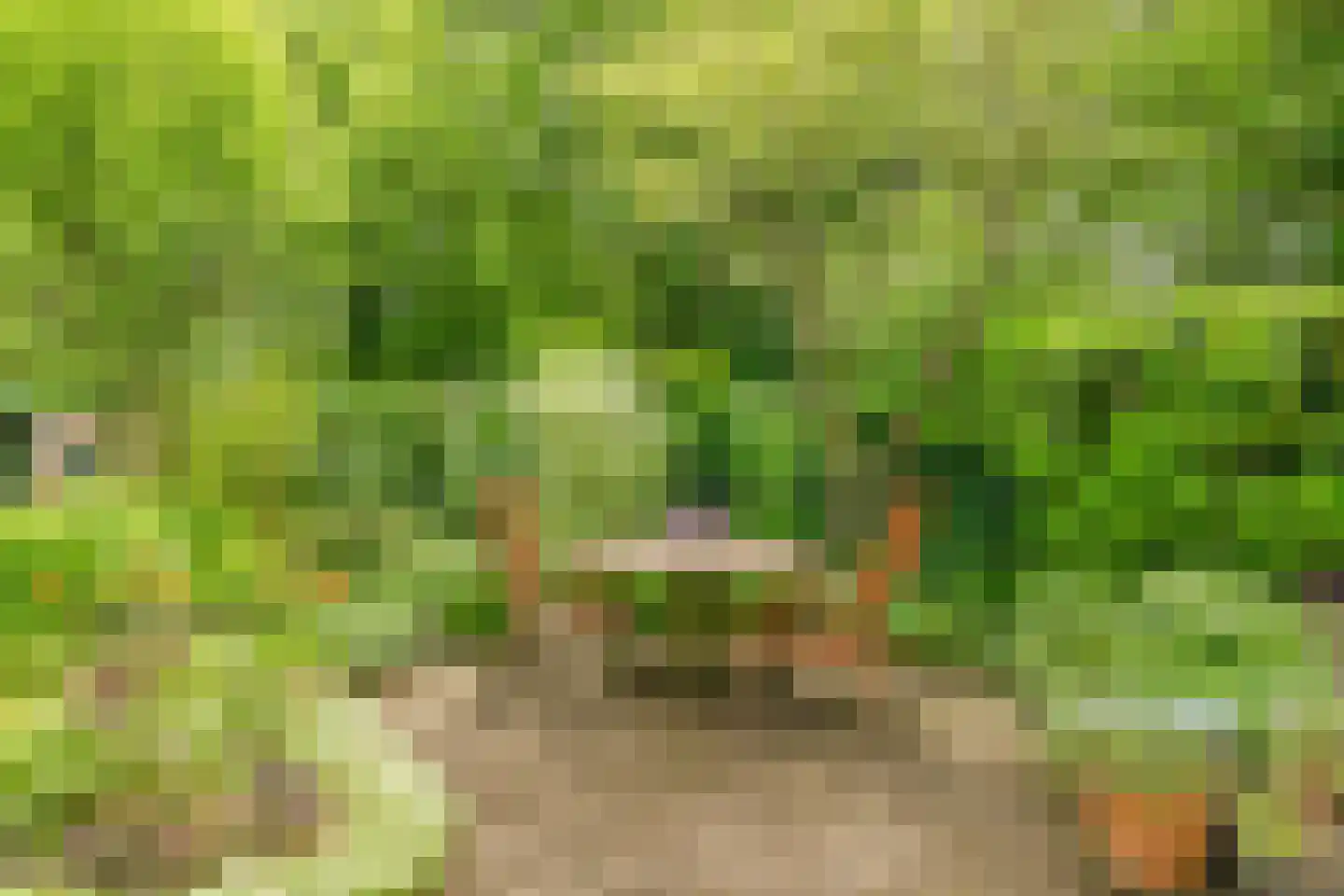 Limmer Laen 4 Heiloo thumbnail 46