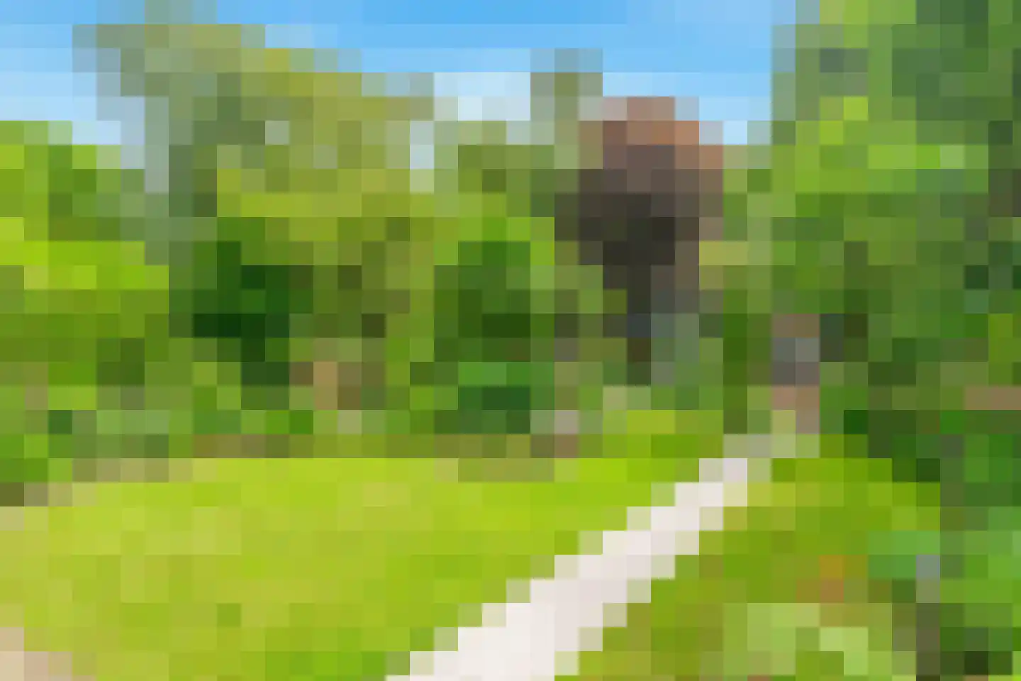 Limmer Laen 4 Heiloo thumbnail 47