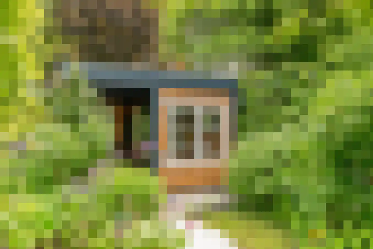 Limmer Laen 4 Heiloo thumbnail 48