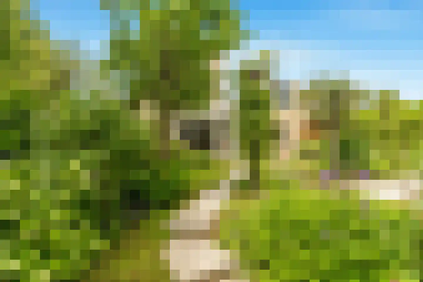 Limmer Laen 4 Heiloo thumbnail 50