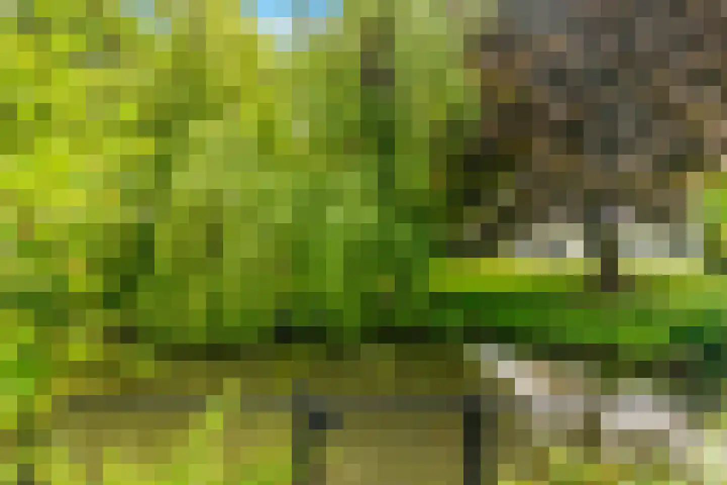 Limmer Laen 4 Heiloo thumbnail 53
