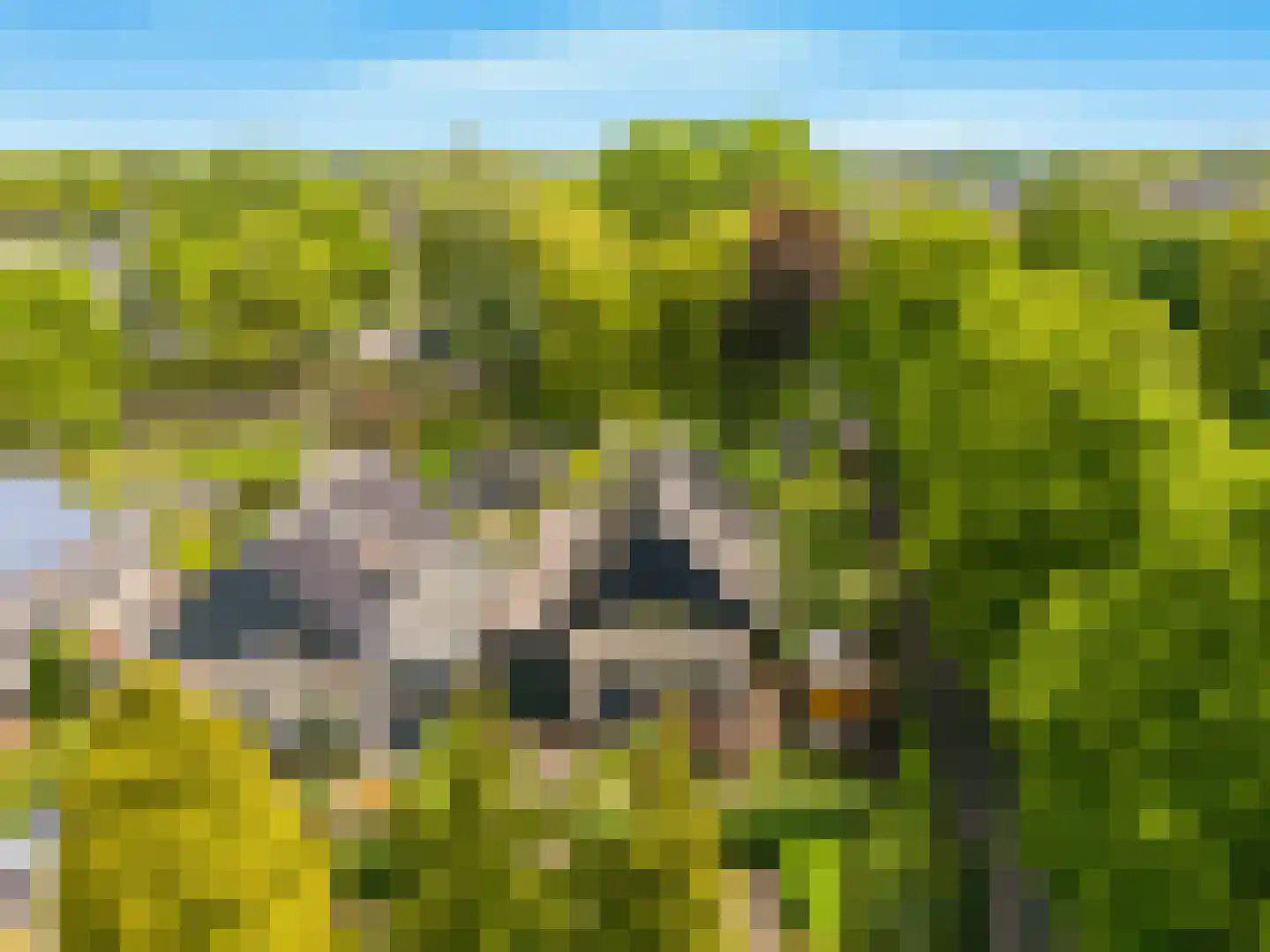 Limmer Laen 4 Heiloo thumbnail 58