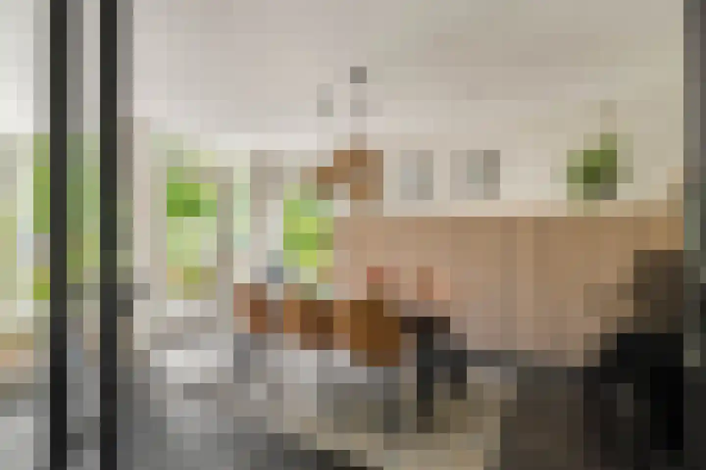 Limmer Laen 4 Heiloo thumbnail 9