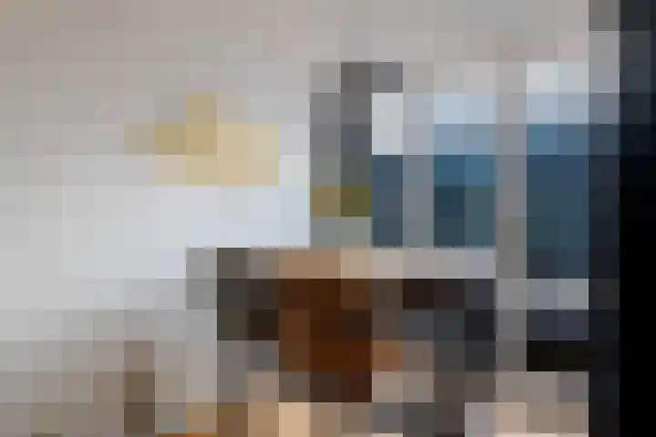Limmerhoek 42 Alkmaar thumbnail 11